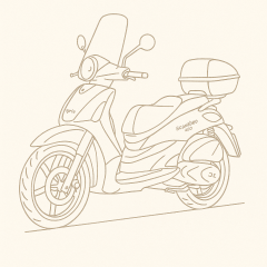 150 - 500 ccm 4T SCARABEO