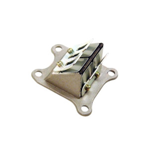 Visszacsapó szelep újt típusú HONDA DIO-50 ZX SR AF35 /Mebrán/